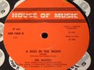 MR. MASTER   A Dog In The Night RARE ITALO DISCO