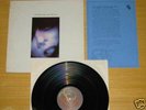 THE HOMOSEXUALS RECORD LP recommended records new wave