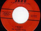 New Jersey rocker instro Golden Tones Jeff 801 listen
