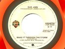 SUE ANN MAKE IT THROUGH THE STORM WB NON-LP 45 PRINCE