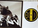 The Dead Weather 8