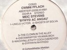 MEIC/MIKE STEVENS, Bywyd Ac Angau White Label Vinyl LP