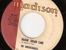 THE UNTOUCHABLES Raisin sugar cane Madison Gorgeous ear