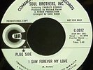 Soul Brothers, Inc. - I Saw Forever My Love - WL Promo