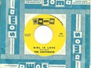THE CASTAWAYS - Girl In Love - 1966