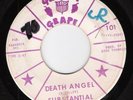 SUBSTANTIAL EVIDENCE Death Angel GROOVY GRAPE Garage Ms