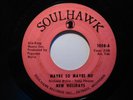 Northern Soul 45 NEW HOLIDAYS Maybe So...SOULHAWK HEAR