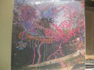 ANIMAL COLLECTIVE Here Comes The Indian LP OOP NM