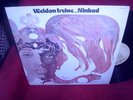 LP WELDON IRVINE Sinbad RCA killer jazz-funk ORIGINAL