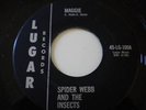 Rare Garage Spider Webb and the Insects Lugar 100  7