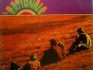 THE RATIONALS * ORIGINAL VINYL LP * DETROIT ROCK