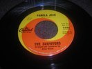 GARAGE SURF 45/ THE SURVIVORS(BEACH BOYS) 