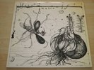 FREE MUSIC DUO (SAX + DR) - VERY RARE PRIVATE LP - M-