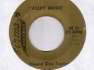 Hound Dog Taylor on Firma R&B Blues 45 Hear