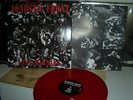 AGNOSTIC FRONT color LP LAST WARNING sxe nyhc MERAUDER