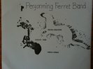 DIY Punk 45 PERFORMING FERRET BAND Brow-Beaten