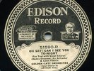 Edison 51590 CALIFORNIA RAMBLERS in E 1925 Manhattan