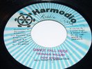 DON HICKEY Dance Hall Rock 45 rpm HARMODIO '87