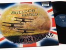 BULL DOG BREED/MADE IN ENGLAND/PROGRESSIVE/RARE UK