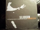 Silkworm Libertine LP Albini Pavement Nirvana Shellac
