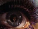 Scott Walker - Scott 3 LP Original press Near Mint