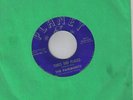 A RARE DOO-WOP 45 BY THE FAIRMONTS - TIMES AND PLACES