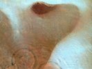 PINK FLOYD MEDDLE LP RARE 1971 1ST EDITION PRESS
