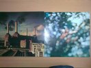 DUE VINILI LP Pink Floyd: Animals, Obscured by clouds