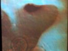 PINK FLOYD ORIGINAL UK RELEASE TEXTURED COVER MEDDLE