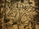PUNK LP Suicidal Tendencies Welcome to Venice