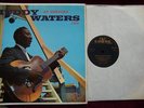 MUDDY WATERS 
