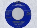 Teen doo-wop MOODS Teenager's Past SARG   HEAR