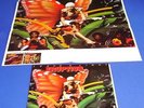 ERUPTION - LLEAVE A LIGHT LPs   -   TOP RARE 