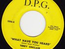 NORTHERN SOUL 45 RPM - TERRY SINCLAIR on D.P.G. RECORDS