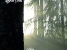 BURZUM Belus 2LP WHITE LIM 2000