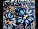 BIG SLEEP BLUEBELL WOOD LP MINT 1972 ON GLOBAL TOP RARE
