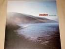 INCUBUS Morning View 2xLP RARE 311 deftones pearl jam