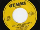 Tony Troutman - What's the use - Jerri 45
