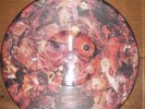 CARCASS - SYMPHONIES OF SICKNESS PIC LP RARE OOP gore