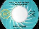 rare Northern Soul 45 ANDRE WILLIAMS on RIC-TIC Listen