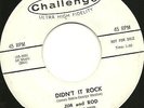 JIM & ROD Didn't It Rock NOBLE BROTHERS rockabilly HEAR