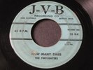 Twilighters on JVB   rare Detroit doo wop / R&B 45 HEAR