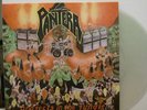 Pantera
