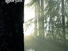 Burzum -  Belus  2 lp   white vinyl   limited edition