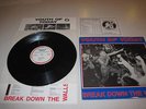 YOUTH OF TODAY BDTW LP WISHINGWELL PUNK KBD NYHC RARE