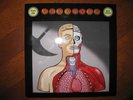 PEARL JAM  The Fixer/Supersonic RARE Orange Vinyl