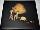 Pearl Jam - Riot Act - Double Vinyl