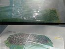 CAN TAGO MAGO  STILL SEALED COPY UA LP 