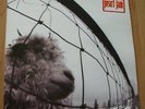 PEARL JAM - Vs.  LP VINYL, 1993; SELTEN Sammlerstück