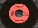 SWINGING HEARTS Spanish Love 620 1002 RARE Doo-Wop 45